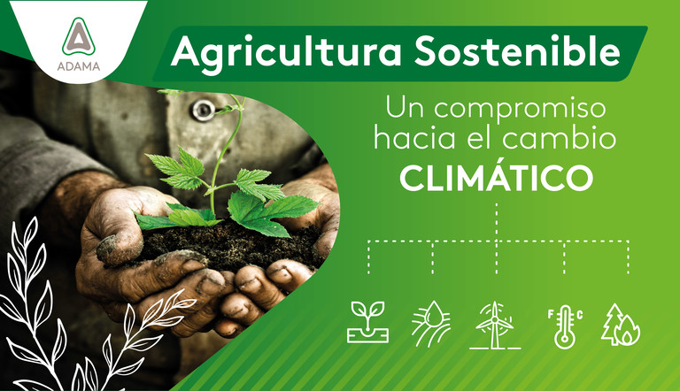 Agricultura sostenible